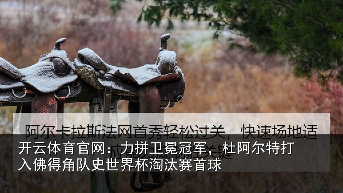 开云体育官网：力拼卫冕冠军，杜阿相关情况史世界杯淘汰赛首球