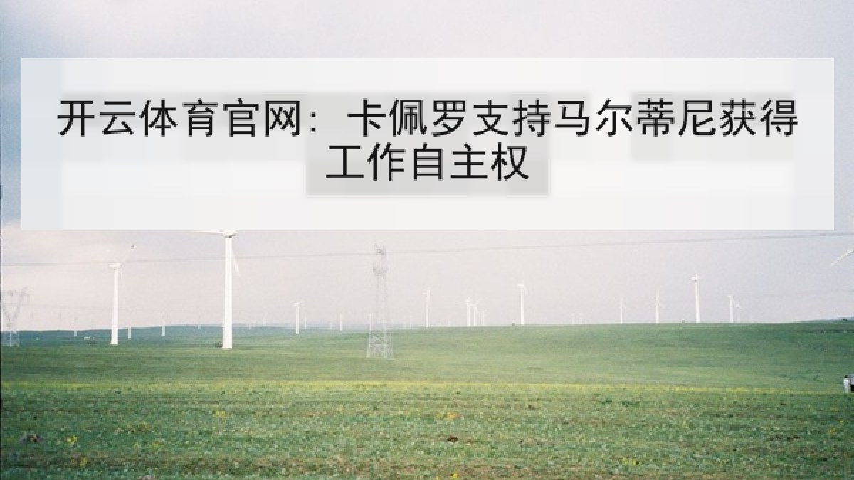 开云体育官网: 卡佩罗支持马尔蒂尼获得工作自主权