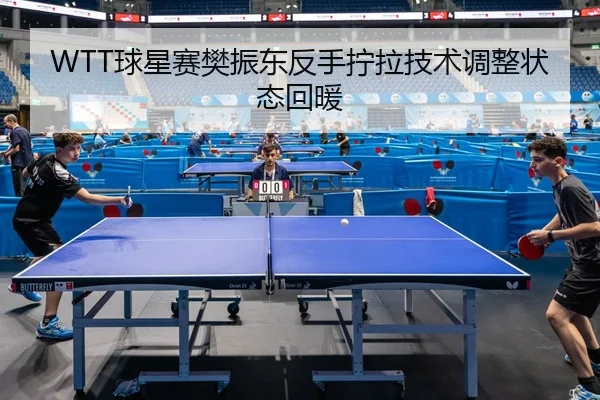 qiu-xing-sai-fan-zhen-dong-fan-shou-ning-la-ji-shu-tiao-zheng-zhuang-tai-hui-nuan-3-955.jpg