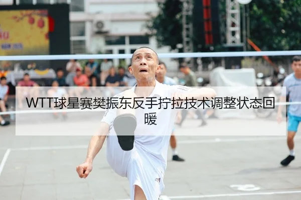 WTT球星赛樊振东反手拧拉技术调整状态回暖