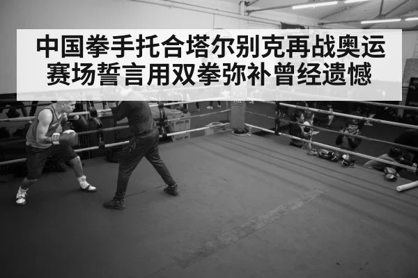 boxer training gym